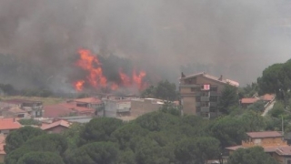 Temperaturi de 45 de grade în Sicilia! Incendii în jurul orașului Palermo