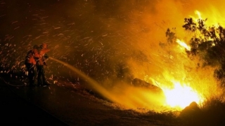 Stare de urgență în Chile din cauza incendiilor de pădure