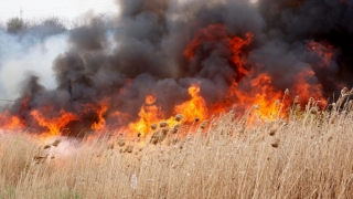 Incendiu puternic în județul Constanța!