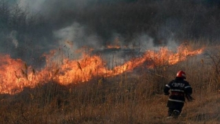 Incendiu izbucnit pe valea Portului Constanța