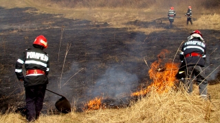 Incendiu de vegetație la granița româno-ucraineană