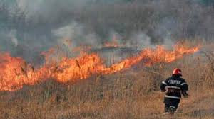Incendiu violent în județul Constanța!