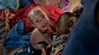 Încetați să mai risipiți mâncarea! Știți câți copii mor de foame în lume?!