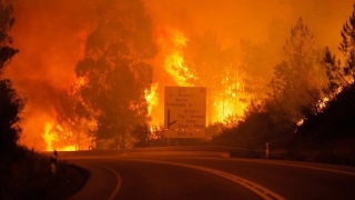 ÎNFIORĂTOR! 442.000 de hectare, distruse de incendii