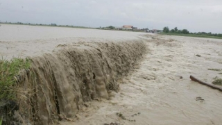 Cod galben de inundații pe râuri din cinci județe din țară