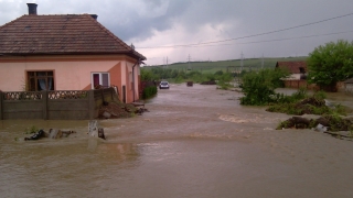 Mai multe gospodării au fost inundate în urma unor ploi torențiale