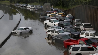 Cel puțin șapte persoane au murit în urma inundațiilor din Houston