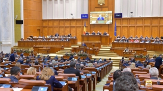 Guvernul Dăncilă, învestit în Parlament