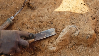 Un fragment de schelet de Homo sapiens descoperit în Israel rescrie istoria evoluţiei
