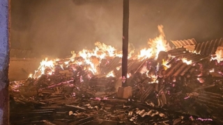 Sute de oi au ars într-un incendiu din localitatea Ostrov, Județul Constanța