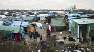 Marea Britanie găzduiește circa 200 de minori proveniți din „Jungla“ de la Calais