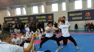 CN de Kung-Fu, probele „Shaolin Sanda Non-Contact” şi „Tuishou”, la Constanța