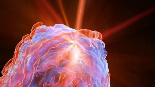 Oamenii de ştiinţă au creat fascicule laser folosind sânge uman