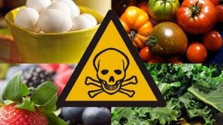 România, pe locul 5 în UE la consumul de pesticide
