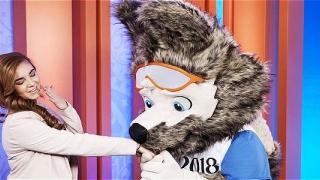 FIFA: Lupul Zabivaka, ales mascota Campionatului Mondial din 2018