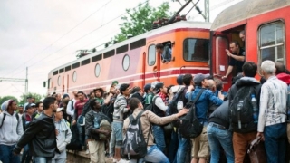 Slovenia va primi în aprilie primii imigranți relocați în baza sistemului de cote obligatorii