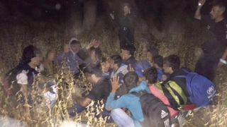 Migranții nu vor în România