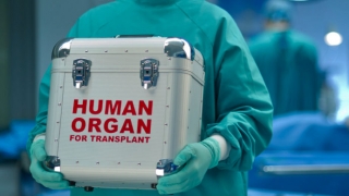 Ministerul Sănătăţii a sesizat nereguli la Agenţia Naţională de Transplant