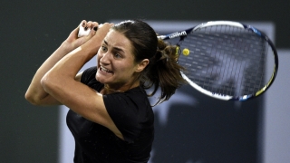 Monica Niculescu a pierdut în optimile probei de dublu la Doha (WTA)