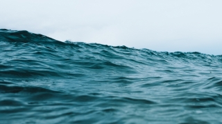 Apa de la suprafaţa oceanelor a stabilit un nou record global de temperatură