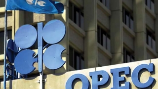 OPEC: Piața țițeiului se va reechilibra în 2016