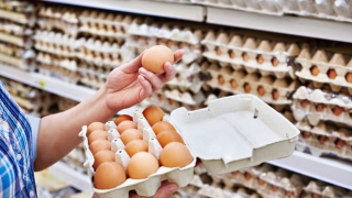 Sute de mii de ouă cu salmonella, retrase de pe piață