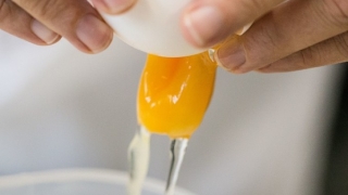 Ungaria a retras de pe piață ouă contaminate cu fipronil