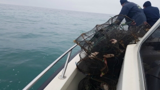Prinși la pescuit în Marea Neagră cu unelte ilegale