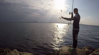 În curând, adio pescuit liber la guvizi? Norica Nicolai propune reglementarea pescuitului maritim de agrement