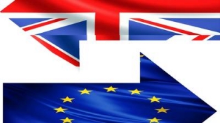 Peste 2 milioane au semnat petiția pentru un nou referendum în M. Britanie