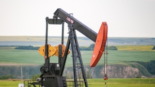 Marii producători de petrol se reunesc pe fondul creşterii cotaţiilor barilului de ţiţei