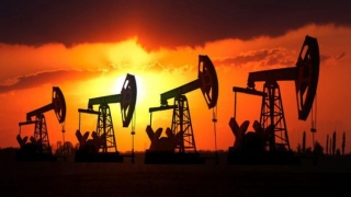 Prețul petrolului a scăzut din nou, la 42,62 de dolari barilul