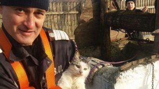 Pisicuța Caty, salvată de pompieri!