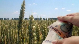Fermierii vor primi vineri primele subvenții pentru sectorul vegetal
