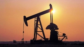 Preţul petrolului a trecut de pragul de 50 de dolari barilul​