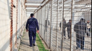 Peste 200 de deținuți au protestat în mai multe penitenciare din țară