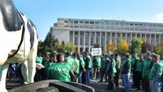 Fermierii au început protestul organizat în fața Palatului Parlamentului