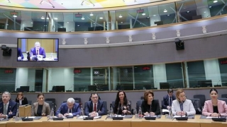 Reuniunea Executivului român și a Colegiului comisarilor europeni