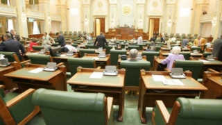 Senat: ședința de plen, suspendată din lipsă de cvorum