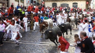 Au început cursele cu tauri de la Pamplona