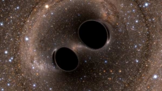 Undele gravitaţionale îi pot ajuta pe cercetători să cunoască istoria găurilor negre