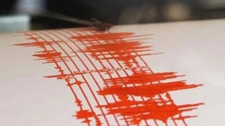 Cutremur puternic în sudul Insulelor Fiji