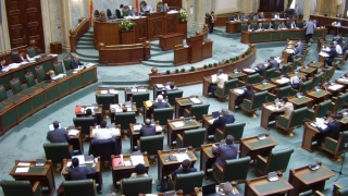 Cinci ONG-uri cer demisia lui Tăriceanu din fruntea Senatului