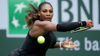 Serena Williams, amendată pentru comportamentul din finala de la Flushing Meadows