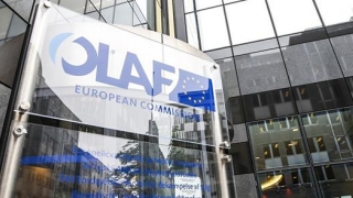 Alertă de la OLAF: 6 ani de închisoare pentru un om de afaceri maghiar