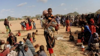 33 de refugiați somalezi, uciși cu focuri de armă în Marea Roșie