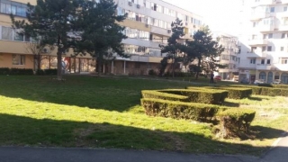Primăria Constanța reamenajează spațiile din fața blocurilor situate pe bulevardul Tomis