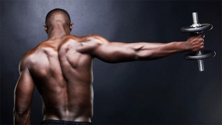 Știați? Creșterea masei musculare prin exerciții cu greutăți, inhibată de unele medicamente!