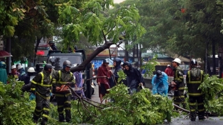 Taifunul Wipha face prăpăd în Vietnam