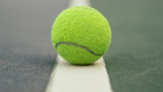 Novak Djokovic, calificat în sferturile de finală la Australian Open